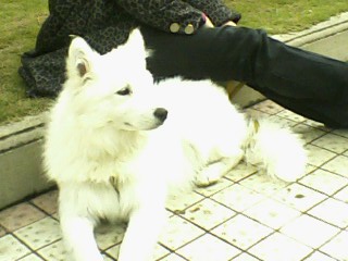 IMG-10081545ab.jpg