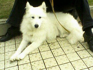 IMG-10081548aa.jpg