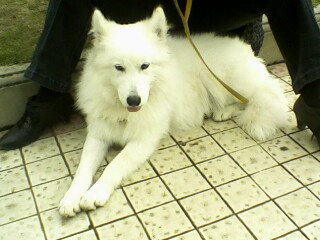 IMG-10081548ab.jpg