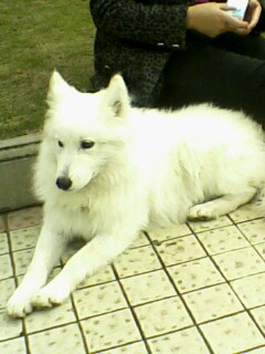 IMG-10081546aa.jpg