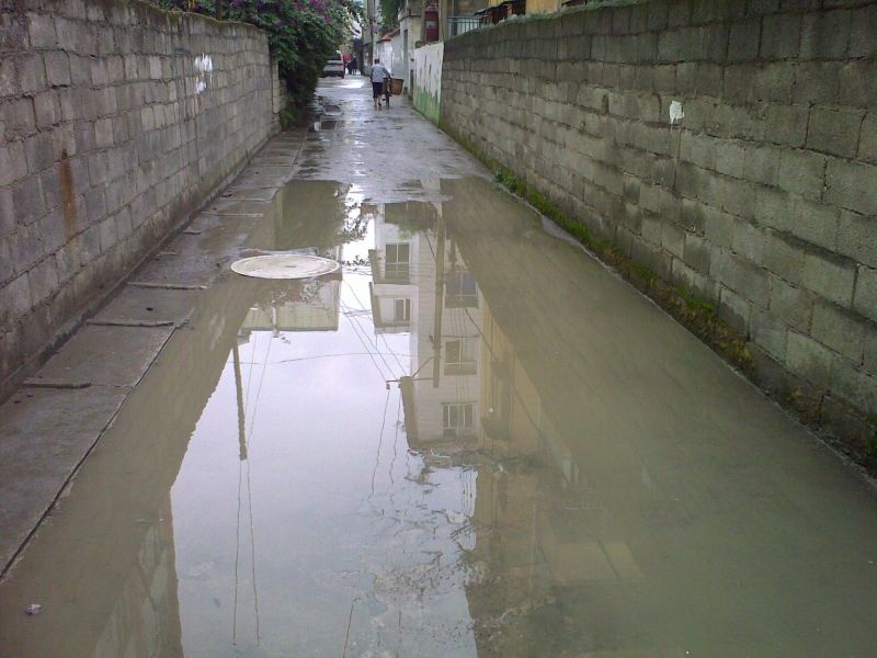 20111015477.jpg