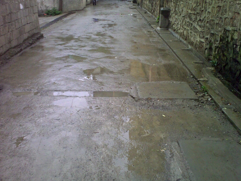 20111015479.jpg