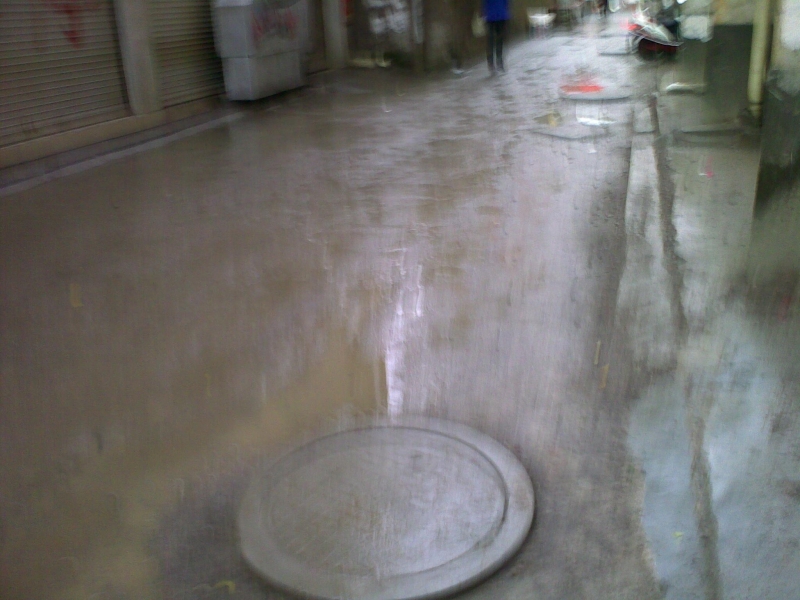 20111015483.jpg