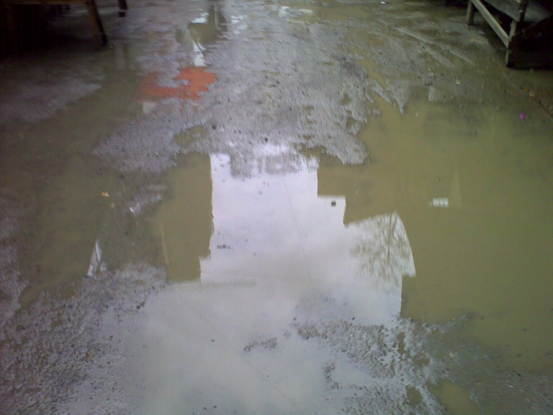 20111015484.jpg