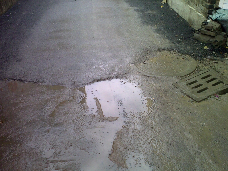 20111015485.jpg