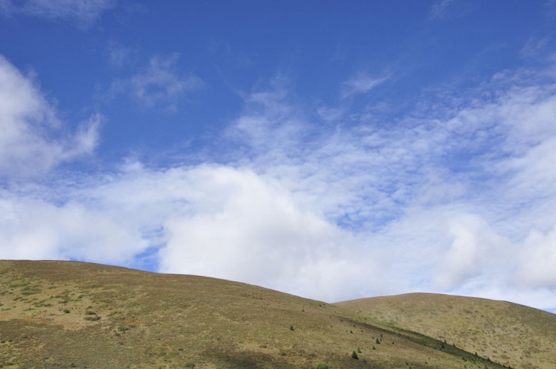 _DSC0185.JPG