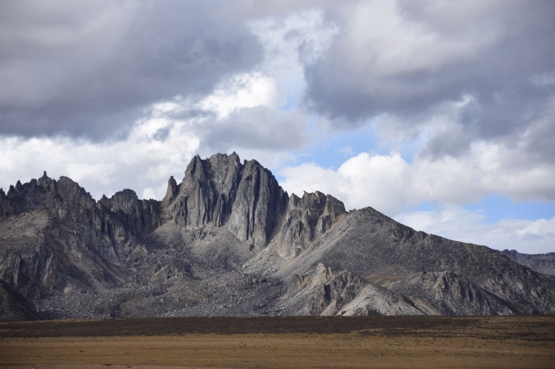 _DSC0480.JPG