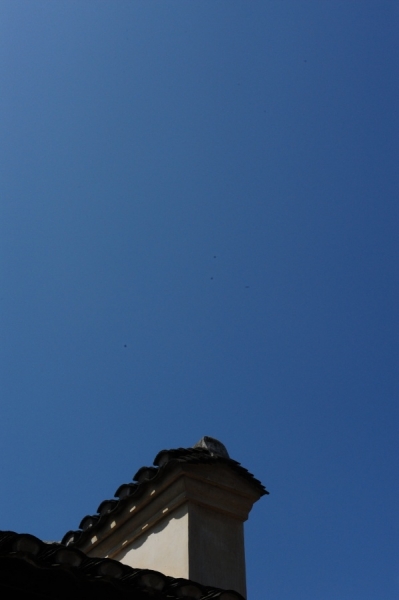 p_large_3czI_7d0f000044fc1264.jpg