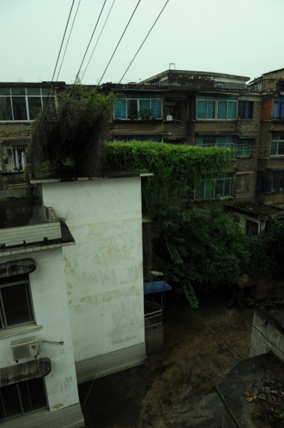 p_large_c43p_7d0e000044e51264.jpg