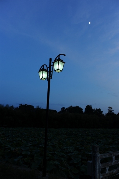 p_large_hlI0_7d1d000045311264.jpg