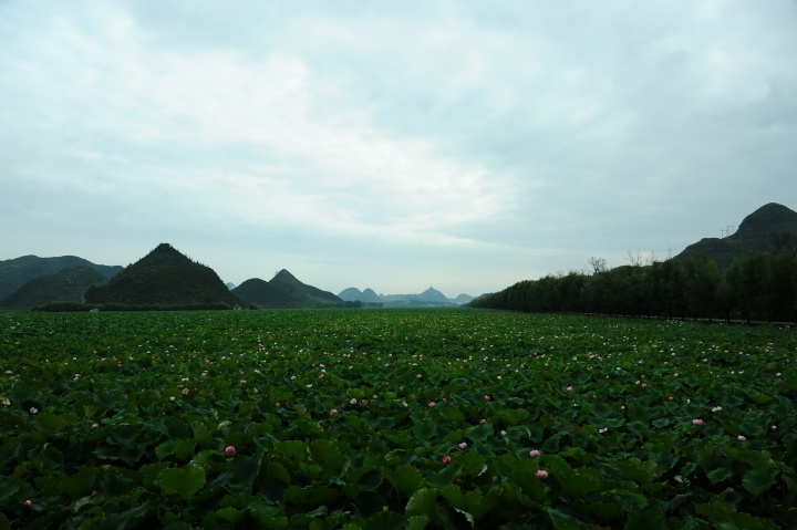 p_large_q3Bj_7d1f000044d51264.jpg
