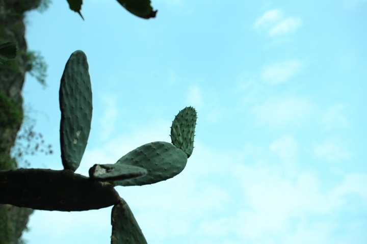 p_large_QOpx_7d1d000045351264.jpg