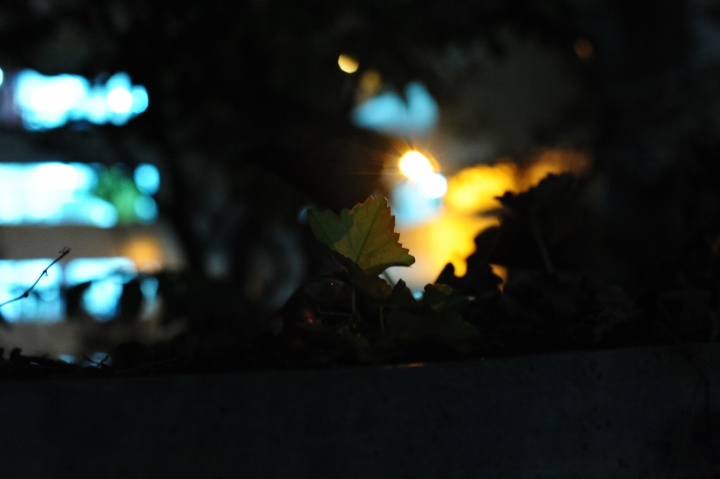 p_large_qtOI_7d1d000045441264.jpg