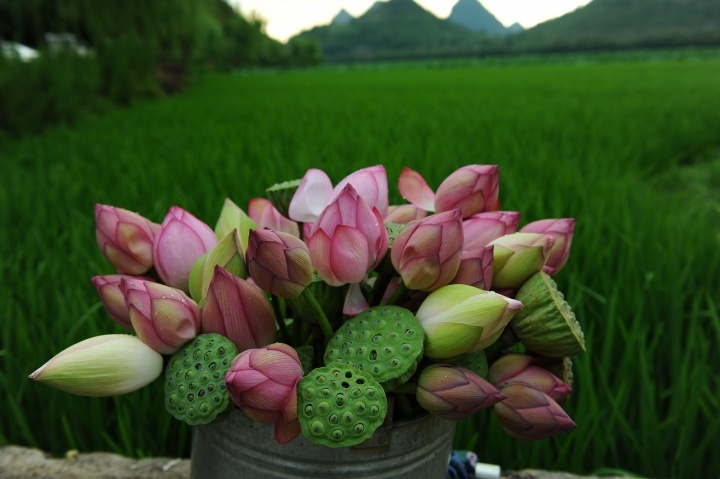 p_large_REk5_7d22000045081264.jpg