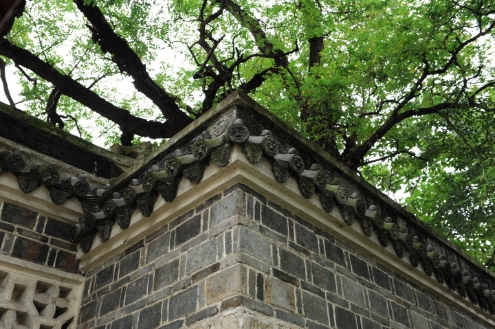 p_large_UHqQ_7d09000044fe1264.jpg