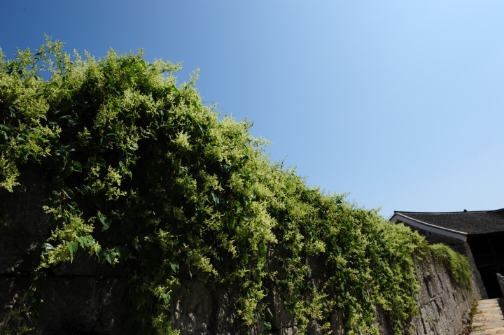 p_large_UqLQ_7d2a0000450a1264.jpg
