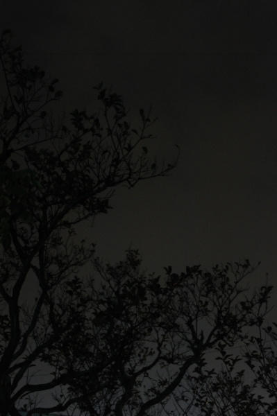 p_large_yIhD_7d0d000044e61264.jpg