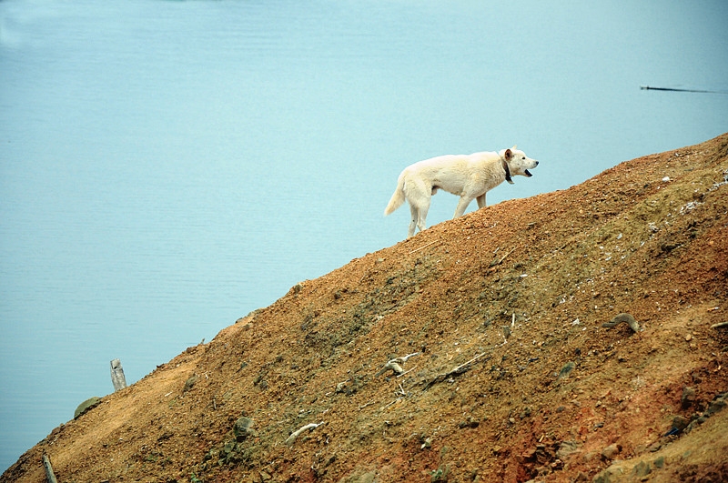 DSC_0482 _3.jpg