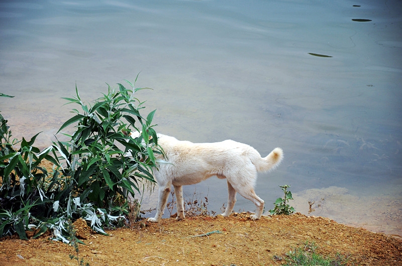 DSC_0565 _3.jpg