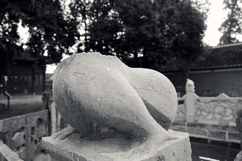 DSC_0732 _6.jpg