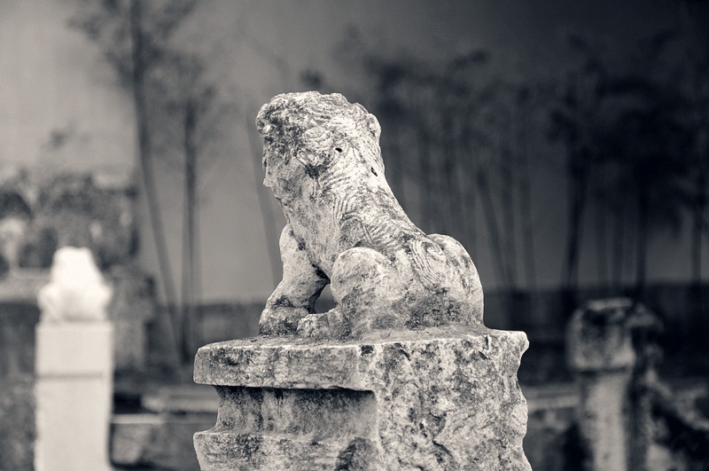 DSC_0728 _3.jpg