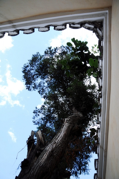 DSC_0384 _5.jpg