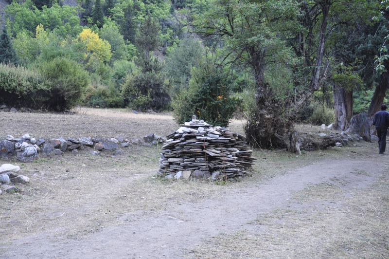 _DSC0180.JPG