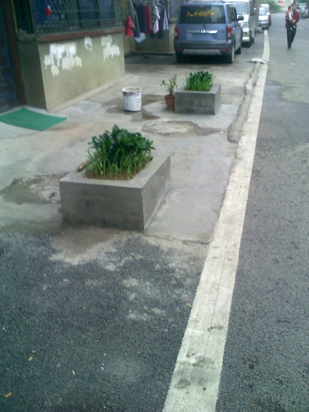 IMG_20111106_115558.jpg