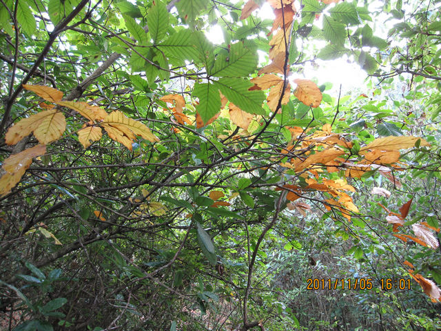 IMG_0026.jpg