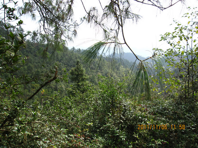 IMG_0140.jpg