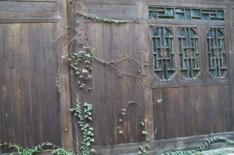 DSC02497.JPG