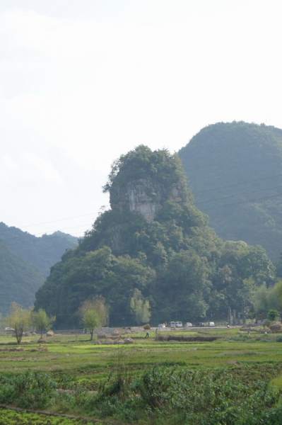 DSC02494.JPG