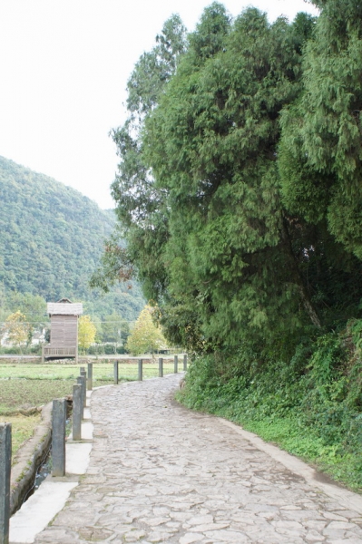 DSC02538.JPG