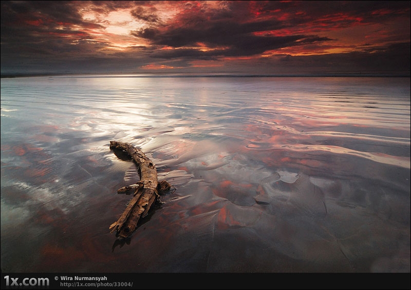 20111110_fa463a74990cdc52c663OzzB2pIVWiGZ.jpg