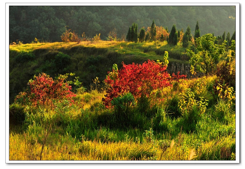 _DSC0840 (98).jpg