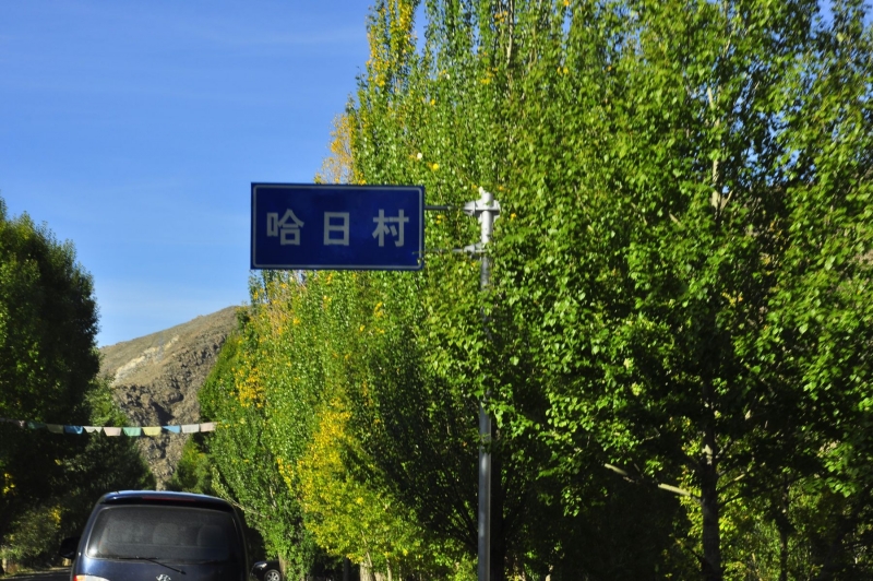 _DSC0701.JPG