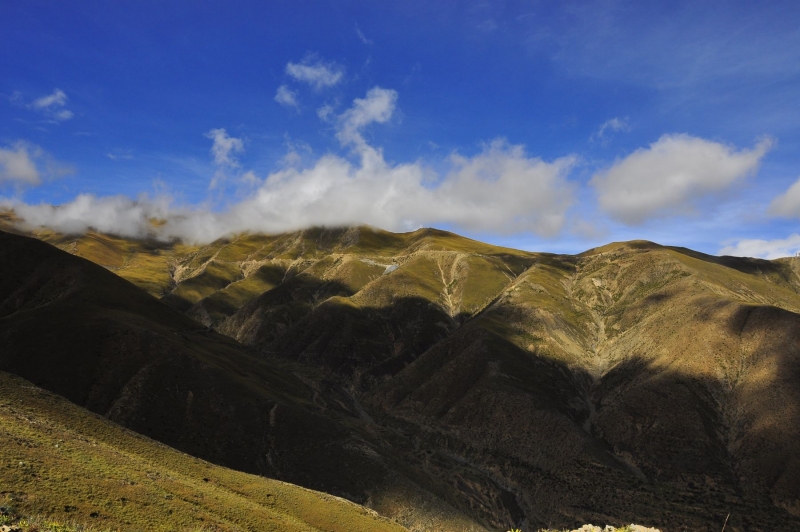 _DSC0725.JPG