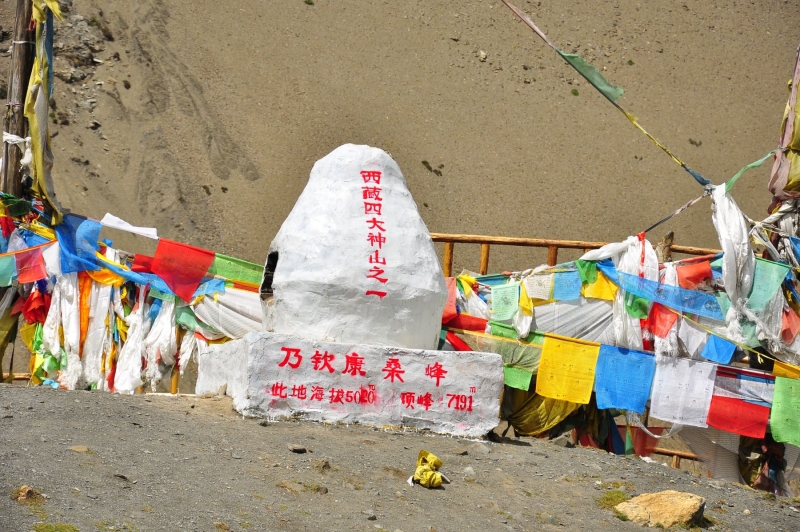 _DSC0870.JPG