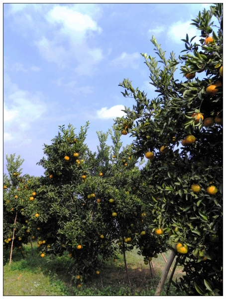 DSCN2191.jpg