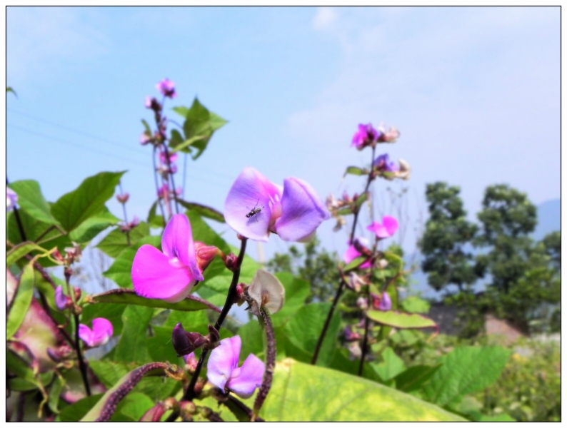DSCN2147.jpg