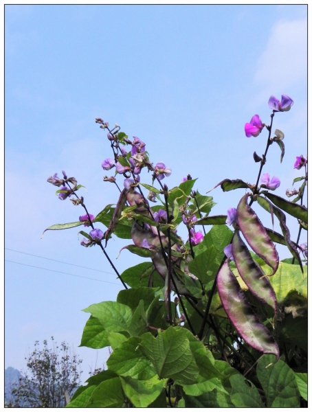 DSCN2149.jpg