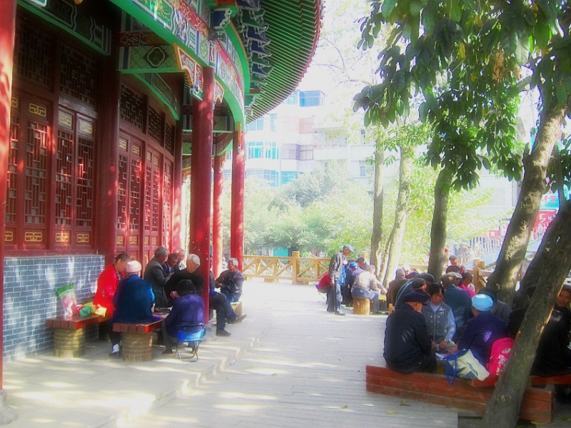 CIMG2344_conew1.jpg