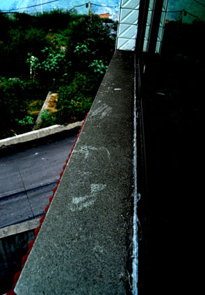 DSC_0028 .jpg