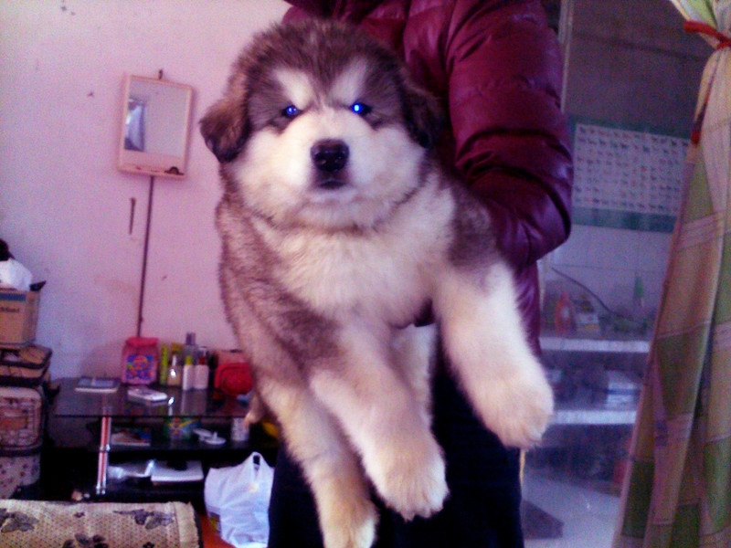 20111205146_.jpg
