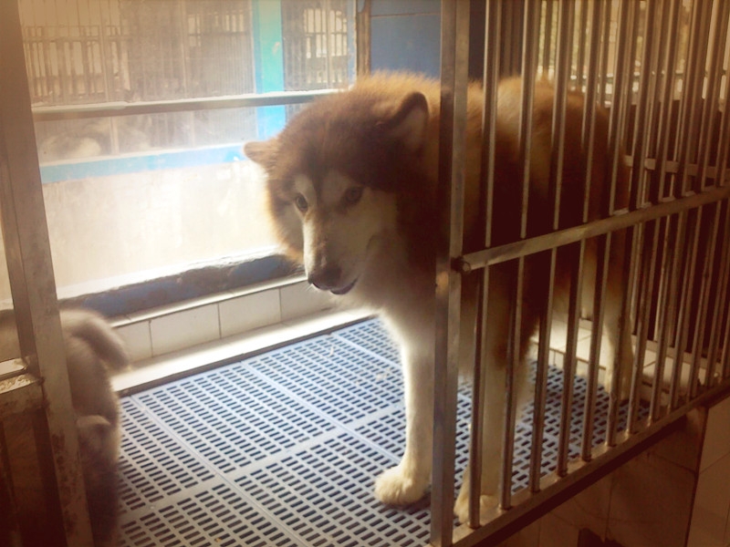 20111205157_.jpg