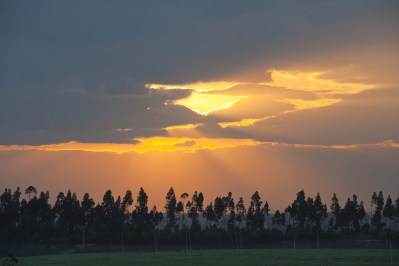 _DSC9989.jpg
