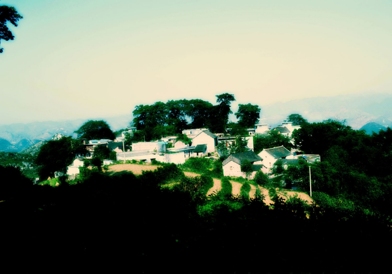 DSC_0117.JPG