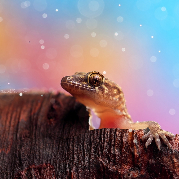 20111227_24f8222f8b7b24a0f1ba1auoeluBMonG.jpg