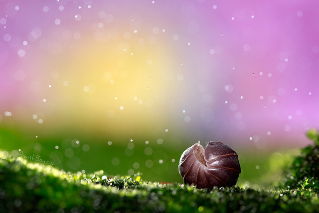 20111227_380cc3b77ebb84a556a4fQXKQ2BwEzeX.jpg