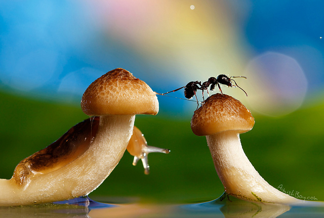 20111227_510603a7b68da3ecbf4fLoZlxIomLOXI.jpg